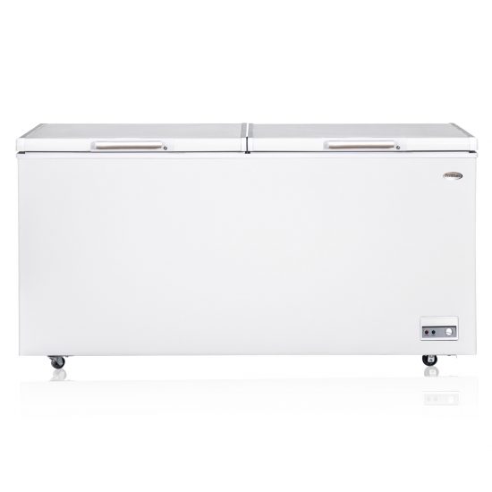 21 ft³ Double Door Freezer